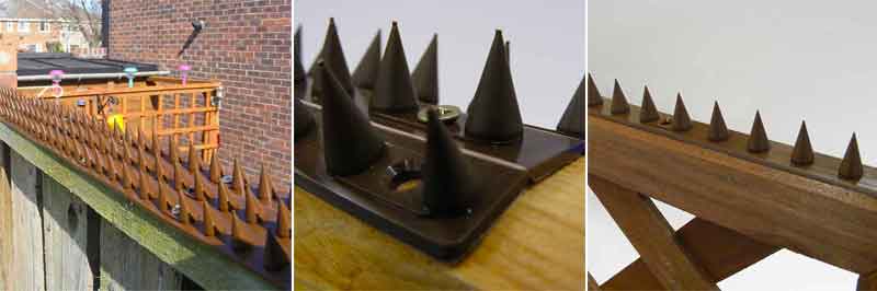 Wall & fence deterrent spikes