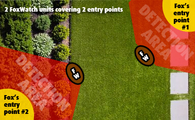 A garden with two fox entry points being protected by two FoxWatch Ultrasonic Deterrents.