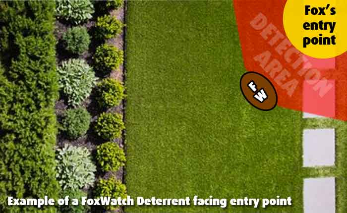 A FoxWatch Ultrasonic Fox Deterrent set up facing the place where a fox enters the garden.