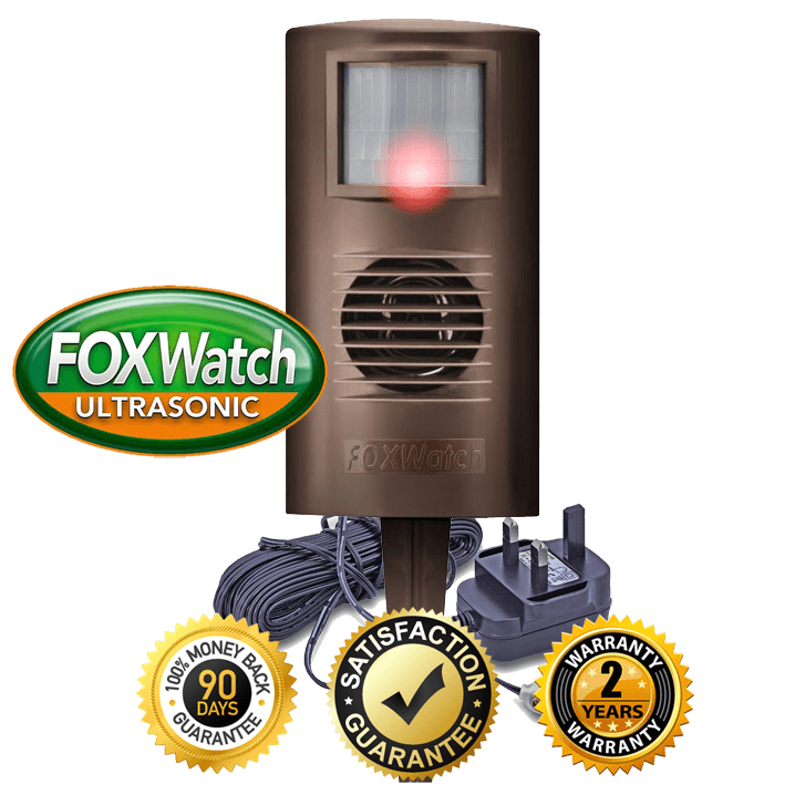 The FoxWatch and Mains Adapter