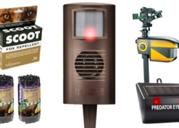 Image showing the Top 10 Fox Deterrents in the UK