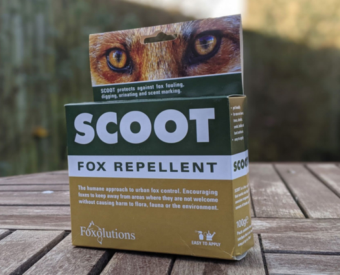 Scoot fox repellent for protecting your garden from foxes