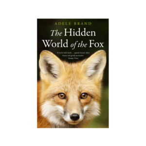 The Hidden World of the Fox book cover by Adele Brand