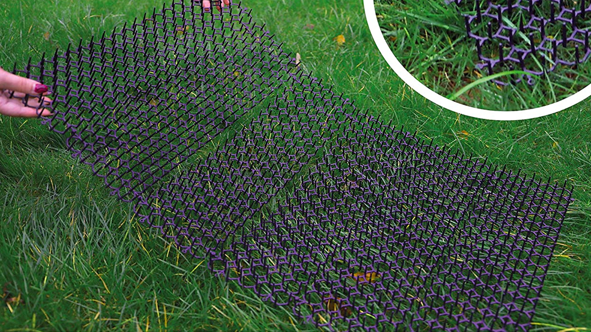 Prickle strips - plastic mesh spikes used to stop animals digging or pooing in flowerbeds.