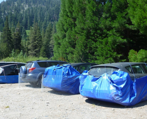 The visitor car park at Sequoia National Park showing cars wrapped in tarpaulin to protect them from being chewed by marmots.