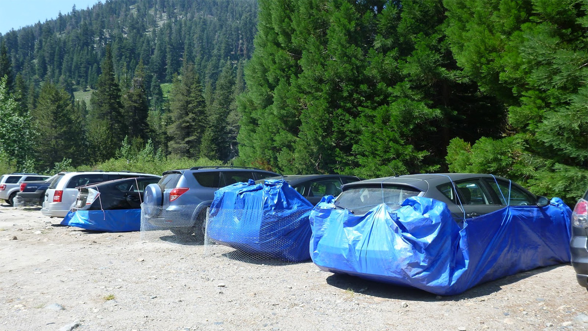 The visitor car park at Sequoia National Park showing cars wrapped in tarpaulin to protect them from being chewed by marmots.
