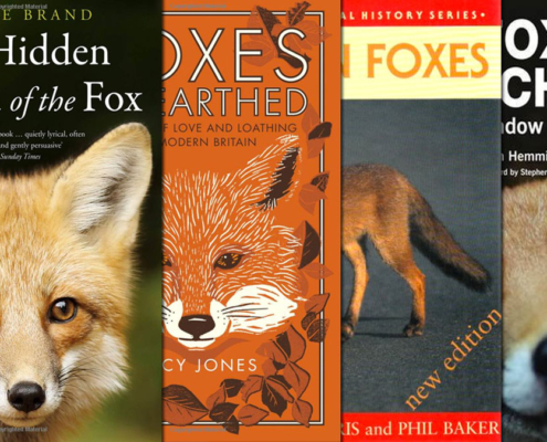 The top 8 non-fiction books about red foxes.