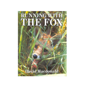 Running with the Fox. A book about foxes by David Macdonald.